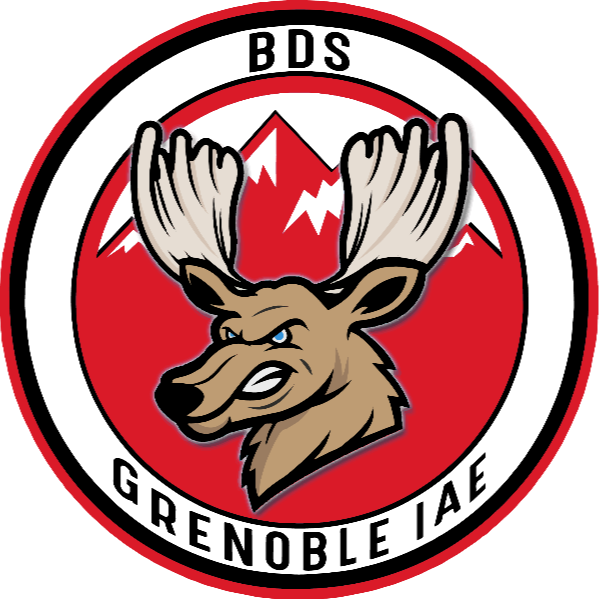 logo bds